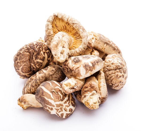 nấm shiitake nấm shiitake